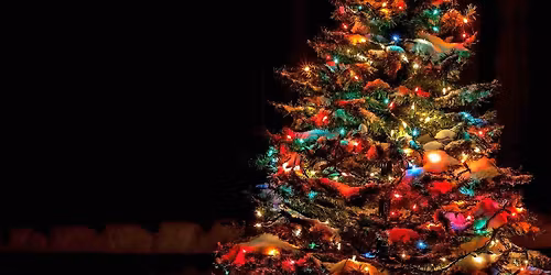 Annual Holiday Tree Lighting