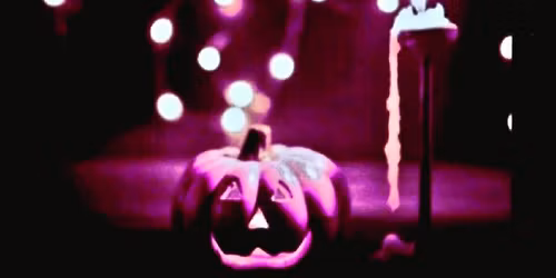 Count The Pumpkins Contest!