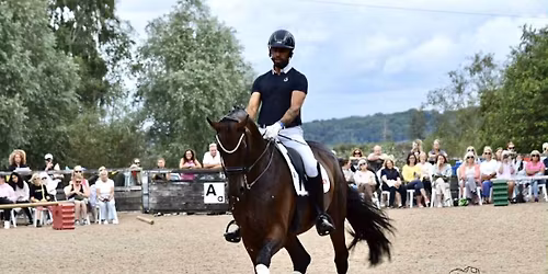 Equine Holistic Fair May 2026