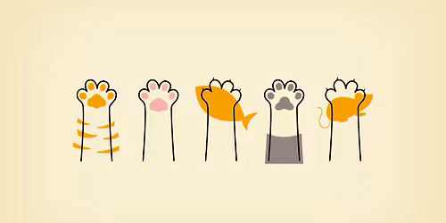 The Psychology of Cats