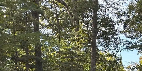 Audiobook Walk at Spiegel Grove