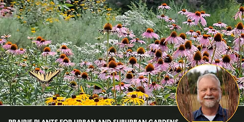 Prairie Plants for Urban and Suburban Gardens with Neil Diboll