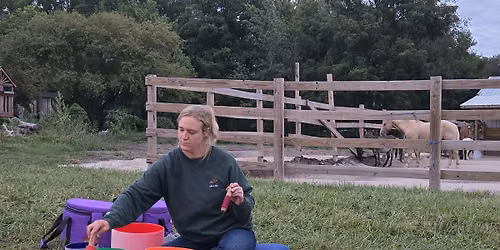 SOUND HEALING WITH THE HERD