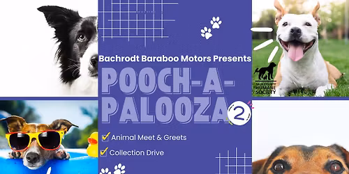 Dog Adoption Event in Baraboo