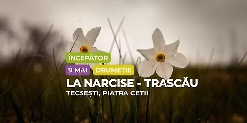Drume\u021bie \u00eencep\u0103tor: La Narcise \u00een Tec\u0219e\u0219ti \u0219i Piatra Cetii, Trasc\u0103u
