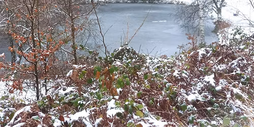 Wanderung zum Knutfest (Pf\u00e4lzer Wald)