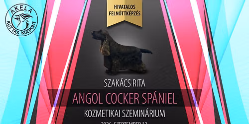 \ud83d\udc15\u2702\ufe0fANGOL COCKER SP\u00c1NIEL kutyakozmetikai szemin\u00e1rium \u2013 HIVATALOS FELN\u0150TTK\u00c9PZ\u00c9S!