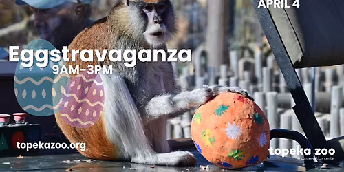 Eggstravaganza