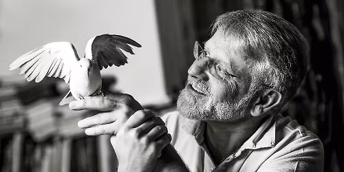 JOSEF FORM\u00c1NEK - Cesty vnit\u0159n\u00ed a vn\u011bj\u0161\u00ed \/ ZUB\u0158\u00cd