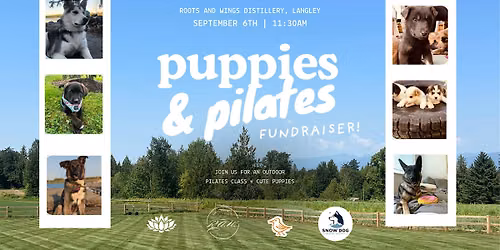 Puppies and Pilates Fundraiser