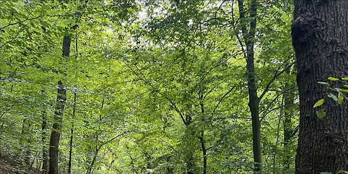 Women\u2019s Health Walk # 1. The Silent Health Risks Women Often Miss