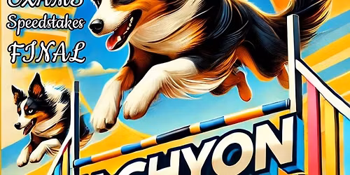 TACHYON OPEN