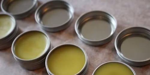 Devil\u2019s Club Salve Making: An Outdoor Workshop at Matanuska River Park