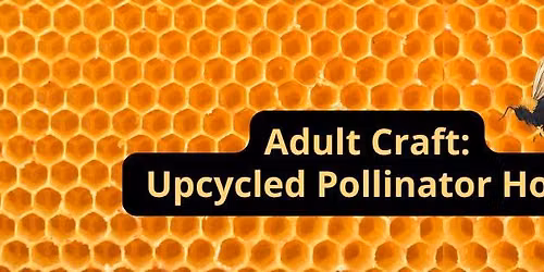 Adult Craft: Upcycled Pollinator Hotel