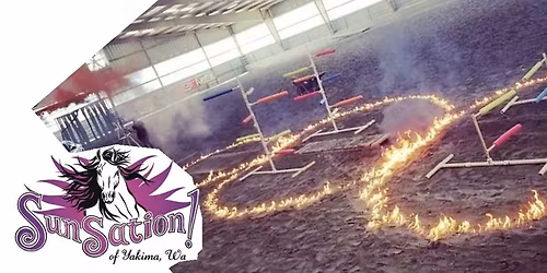 Equine De-Spooking & Confidence Course