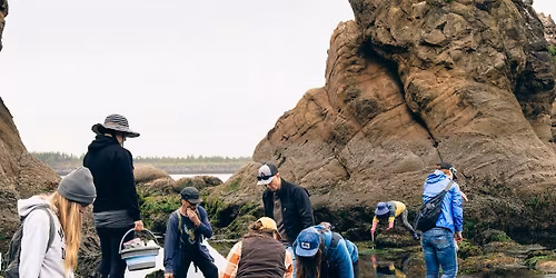 Seaweed Foraging - Newport