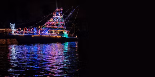 Festival of Lights Viewing Party