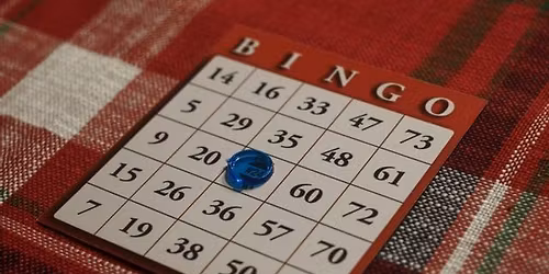 Bingo: Community Night