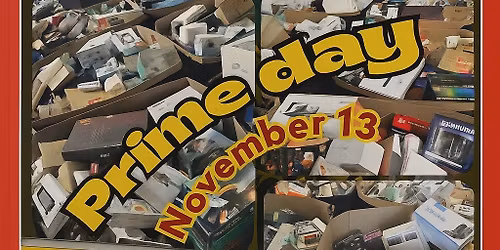BIG BINS LIQUIDATION NOV 13 