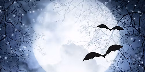 Dreki Hollow: A Samhain Vendor Faire\ud83c\udf19\ud83d\udd2e