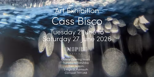 Art Exhibition: Cass Bisco