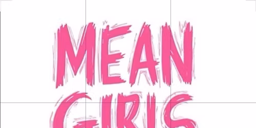 Mean Girls: High School Version