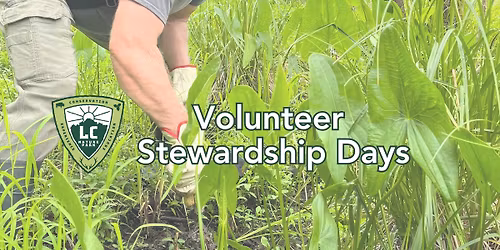 Volunteer Stewardship Day