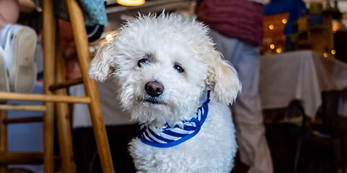 The Christmas Barket at CANVAS