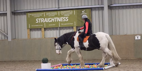 The Confidence In Obstacles Clinic w\/ Rosca Horsemanship at Derby College Equestrian Centre