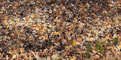 Fall Equinox