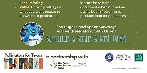 Butterflies & Beetles & Bees. OH MY! @Cullinan Park 11-8-25 2pm-4pm
