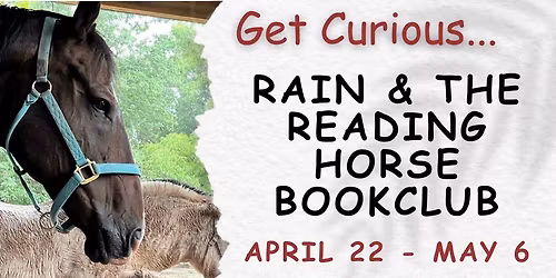 Rain & the Reading Horse Book Club Program
