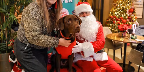 LABRADOR CAFE CHRISTMAS - LIVERPOOL