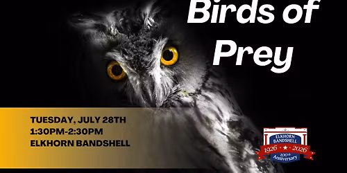 Birds of Prey