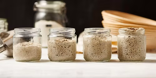 The Art & Science of Sourdough: A Hands-On Theory Class + Take Home Kit