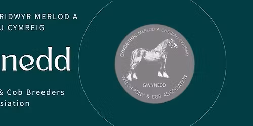 Gwynedd WPCBA Foal, Youngstock and Ridden show