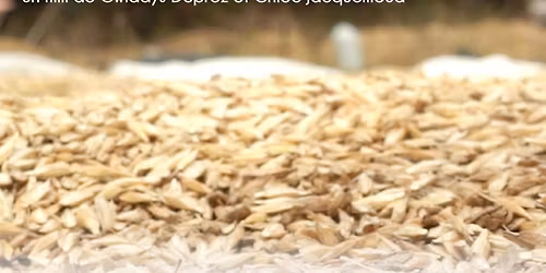 Projection CE QUI GERMERA - Mois du doc