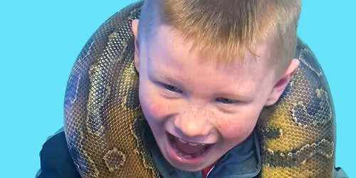 Live Reptile Encounters! 