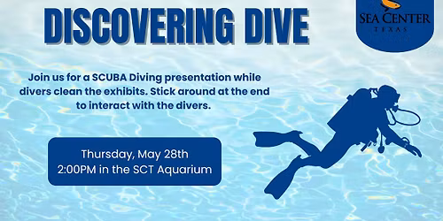 Discovering Dive