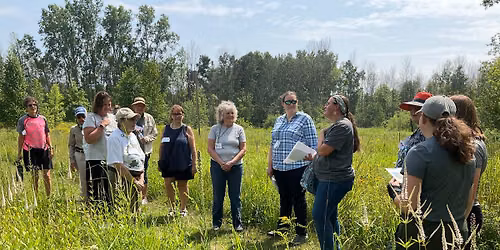Guided Walk: Summer Stroll
