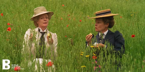 B&IFF: A Room with a View