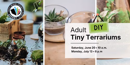 Adult DIY: Tiny Terrariums