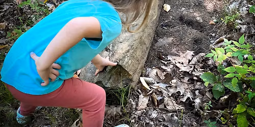 Guided Tour for Kids