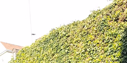 Jonny M. in der "Insel"