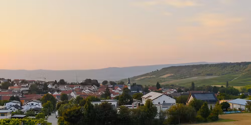 Knewitz x Fiskekompaniet