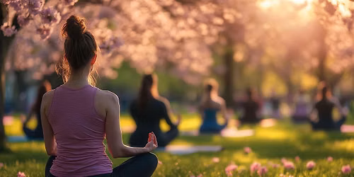 Yoga & Picnic in Brockwell Park
