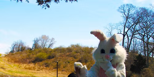 Egg Hunt at Auburn Heights