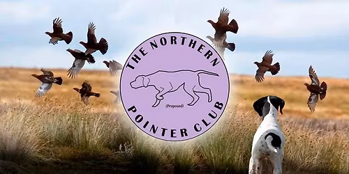 Pointer Fun Day, all breeds welcome