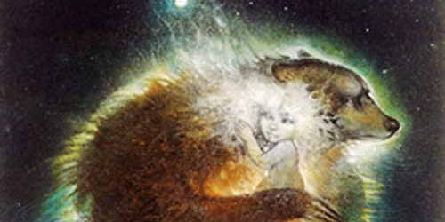 Soul Retrieval\/ Recouvrement d\u2019\u00c2me (FSS)