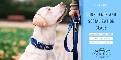Confidence and Socialization Class